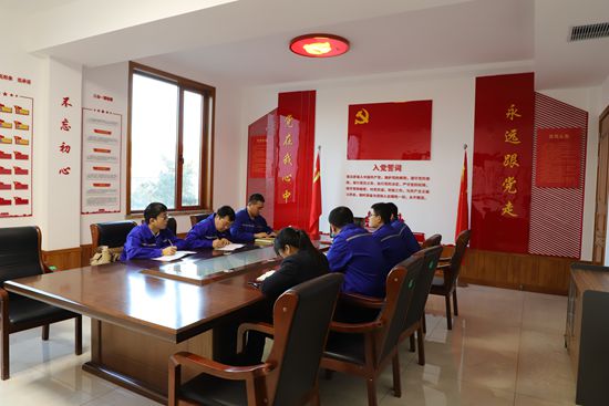 紅紅臉 出出汗 思想體檢促整改——集團(tuán)各黨支部召開專題組織生活會(huì)0