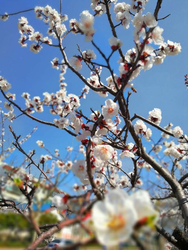 【重山影像】重山春已到 奮斗正當(dāng)時（二）20