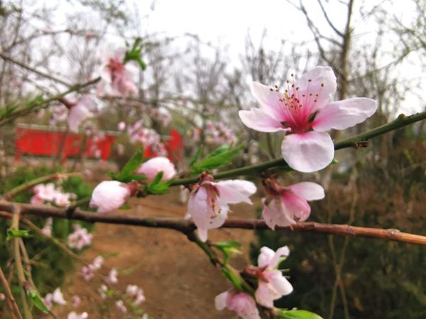 【重山影像】重山春已到 奮斗正當(dāng)時（二）20