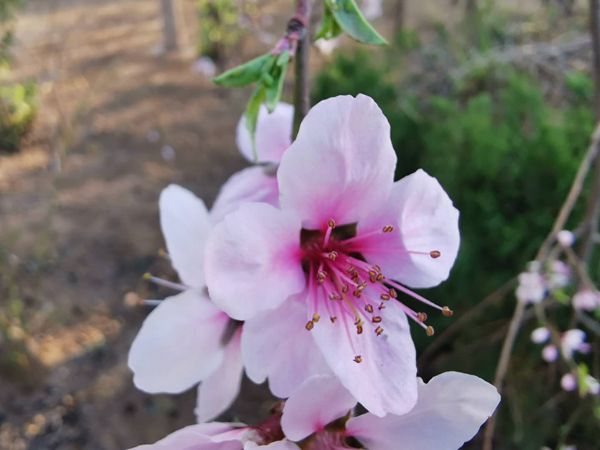 【重山影像】重山春已到 奮斗正當(dāng)時（二）20