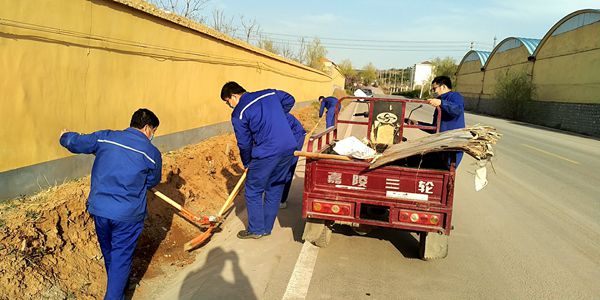 讓雷鋒精神成為黨員最美底色——魯中水泥、重山光電黨支部組織學雷鋒志愿活動87