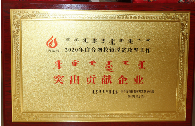 魯蒙公司榮獲“脫貧攻堅(jiān)突出貢獻(xiàn)企業(yè)”稱(chēng)號(hào)95