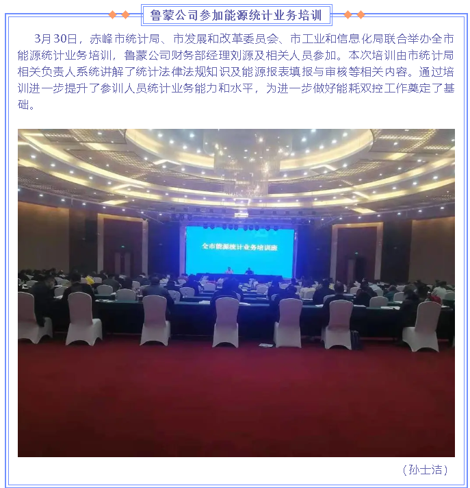 魯蒙公司參加能源統(tǒng)計業(yè)務培訓63