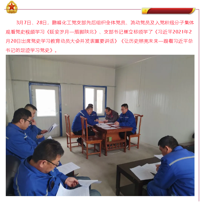 黨史學習教育 3月份集團黨委黨史學習教育動態(tài)76