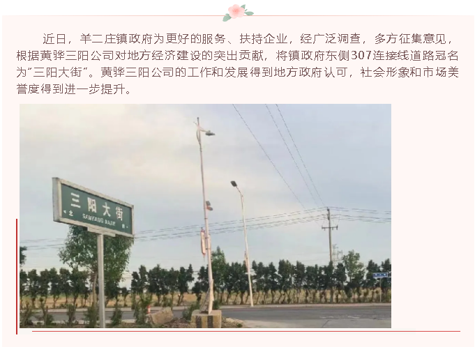 【榮譽(yù)】307連接線道路冠名為“三陽大街”23