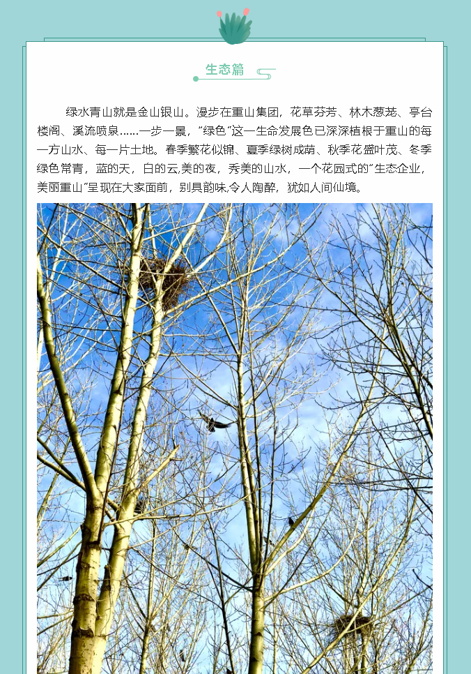 【鏡頭里的重山】邀您共賞重山之美！77