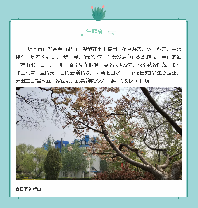 【鏡頭里的重山】邀您共賞重山之美！71