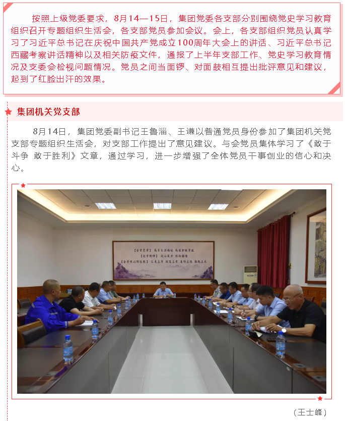 集團(tuán)黨委各支部開(kāi)展黨史學(xué)習(xí)教育專(zhuān)題組織生活會(huì)47