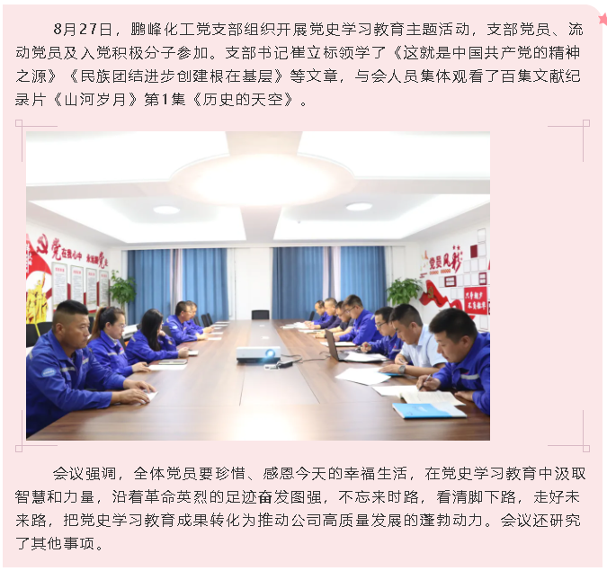 鵬峰化工黨支部開展黨史學習教育主題活動0
