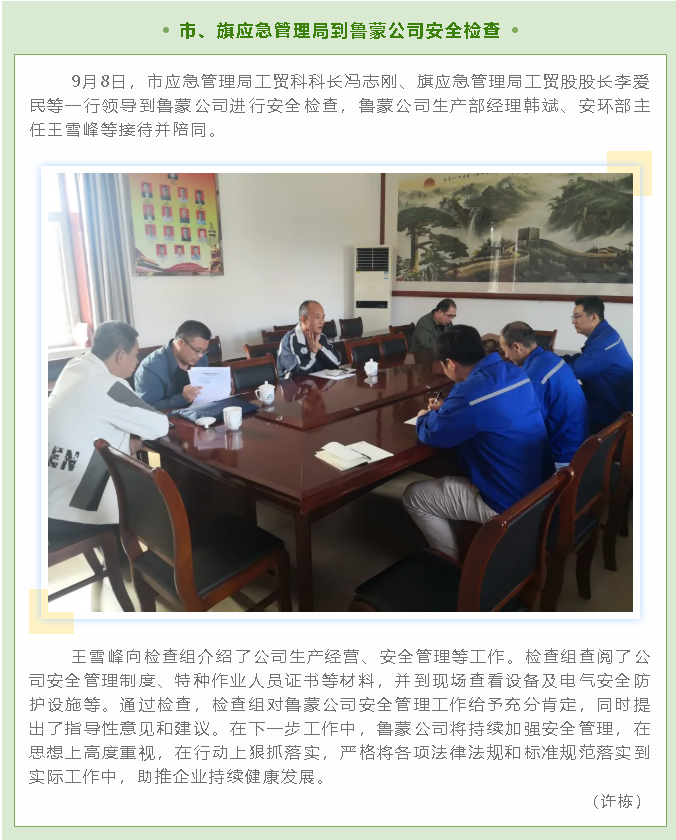 市、旗應(yīng)急管理局到魯蒙公司安全檢查40