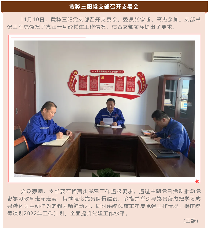黃驊三陽(yáng)黨支部召開支委會(huì)55